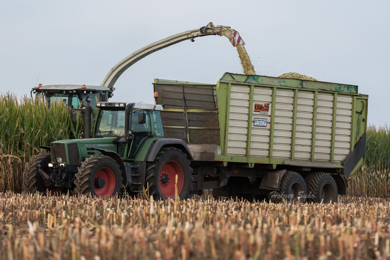 Bild 166 - Maisernte 2016